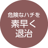 危険なハチを素早く退治